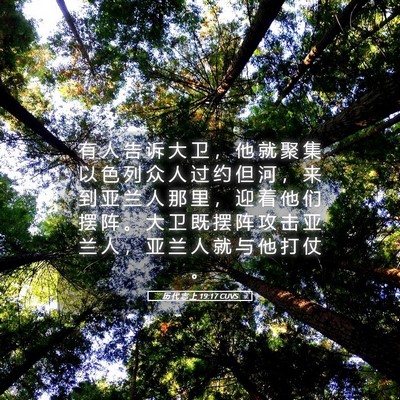Picture 05 - 历 代 志 上 19:17 CUVS - 有 人 告 诉 大 卫 ， 他 就 聚 集 以 - Bible Verse Picture