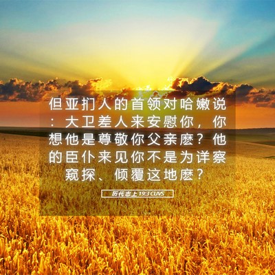 Picture 05 - 历 代 志 上 19:3 CUVS - 但 亚 扪 人 的 首 领 对 哈 嫩 说 ： - Bible Verse Picture