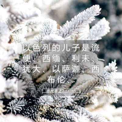 Picture 05 - 历 代 志 上 2:1 CUVS - 以 色 列 的 儿 子 是 流 便 、 西 缅 - Bible Verse Picture