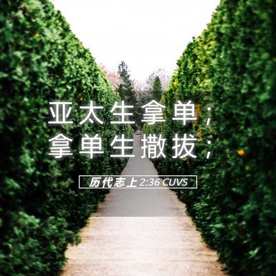 Picture 05 - 历 代 志 上 2:36 CUVS - 亚 太 生 拿 单 ； 拿 单 生 撒 拔 - Bible Verse Picture