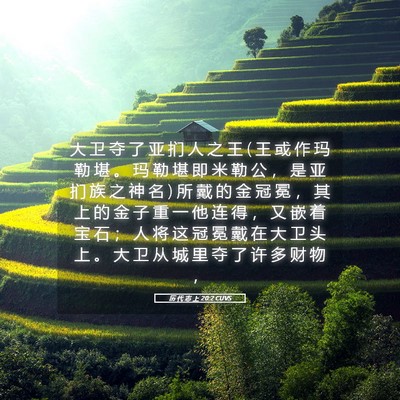 Picture 05 - 历 代 志 上 20:2 CUVS - 大 卫 夺 了 亚 扪 人 之 王 ( 王 或 作 - Bible Verse Picture