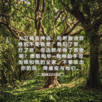 Picture 05 - 历 代 志 上 21:17 CUVS - 大 卫 祷 告 神 说 ： 吩 咐 数 点 百 - Bible Verse Picture