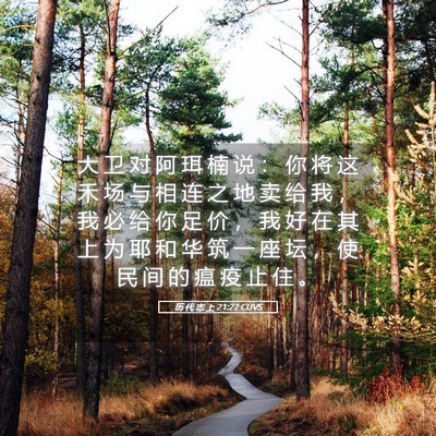 Picture 05 - 历 代 志 上 21:22 CUVS - 大 卫 对 阿 珥 楠 说 ： 你 将 这 禾 - Bible Verse Picture