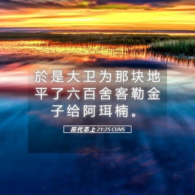 Picture 05 - 历 代 志 上 21:25 CUVS - 於 是 大 卫 为 那 块 地 平 了 六 百 - Bible Verse Picture