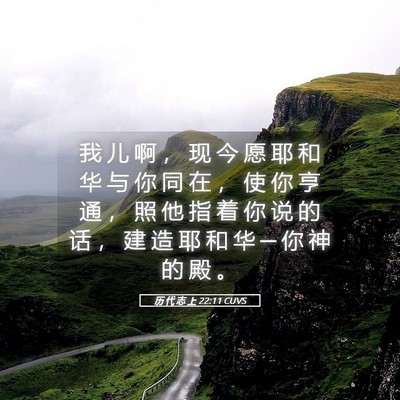 Picture 05 - 历 代 志 上 22:11 CUVS - 我 儿 啊 ， 现 今 愿 耶 和 华 与 你 - Bible Verse Picture