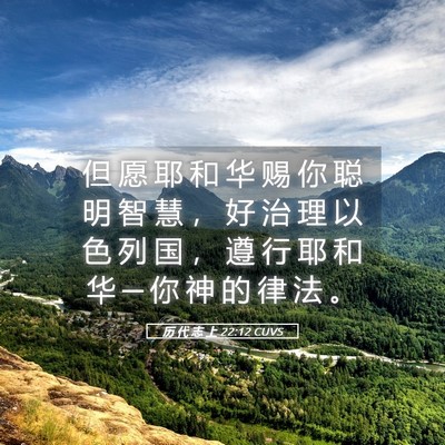 Picture 05 - 历 代 志 上 22:12 CUVS - 但 愿 耶 和 华 赐 你 聪 明 智 慧 ， - Bible Verse Picture