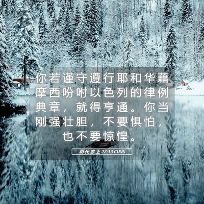 Picture 05 - 历 代 志 上 22:13 CUVS - 你 若 谨 守 遵 行 耶 和 华 藉 摩 西 - Bible Verse Picture