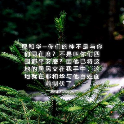 Picture 05 - 历 代 志 上 22:18 CUVS - 耶 和 华 ─ 你 们 的 神 不 是 与 你 - Bible Verse Picture