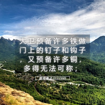 Picture 05 - 历 代 志 上 22:3 CUVS - 大 卫 预 备 许 多 铁 做 门 上 的 钉 - Bible Verse Picture