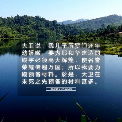 Picture 05 - 历 代 志 上 22:5 CUVS - 大 卫 说 ： 我 儿 子 所 罗 门 还 年 - Bible Verse Picture