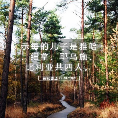 Picture 05 - 历 代 志 上 23:10 CUVS - 示 每 的 儿 子 是 雅 哈 、 细 拿 、 - Bible Verse Picture