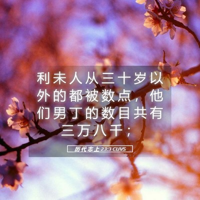Picture 05 - 历 代 志 上 23:3 CUVS - 利 未 人 从 三 十 岁 以 外 的 都 被 - Bible Verse Picture