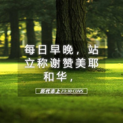 Picture 05 - 历 代 志 上 23:30 CUVS - 每 日 早 晚 ， 站 立 称 谢 赞 美 耶 - Bible Verse Picture