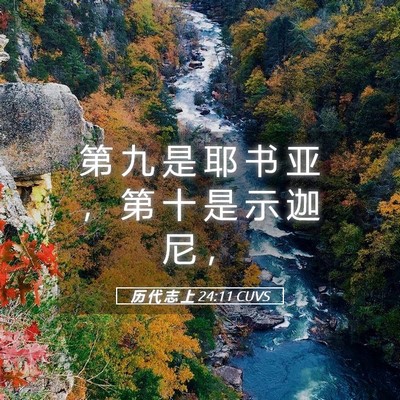 Picture 05 - 历 代 志 上 24:11 CUVS - 第 九 是 耶 书 亚 ， 第 十 是 示 迦 - Bible Verse Picture