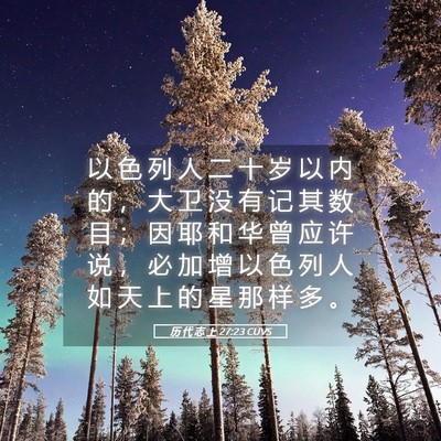 Picture 05 - 历 代 志 上 27:23 CUVS - 以 色 列 人 二 十 岁 以 内 的 ， 大 - Bible Verse Picture