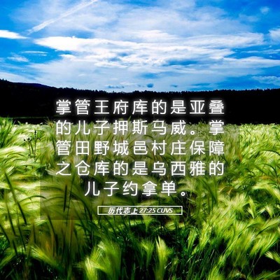 Picture 05 - 历 代 志 上 27:25 CUVS - 掌 管 王 府 库 的 是 亚 叠 的 儿 子 - Bible Verse Picture