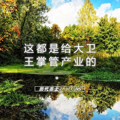 Picture 05 - 历 代 志 上 27:31 CUVS - 这 都 是 给 大 卫 王 掌 管 产 业 的 - Bible Verse Picture