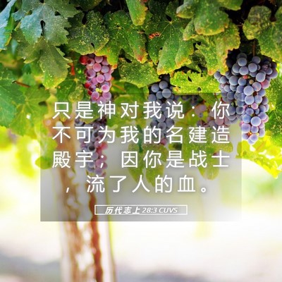 Picture 05 - 历 代 志 上 28:3 CUVS - 只 是 神 对 我 说 ： 你 不 可 为 我 - Bible Verse Picture
