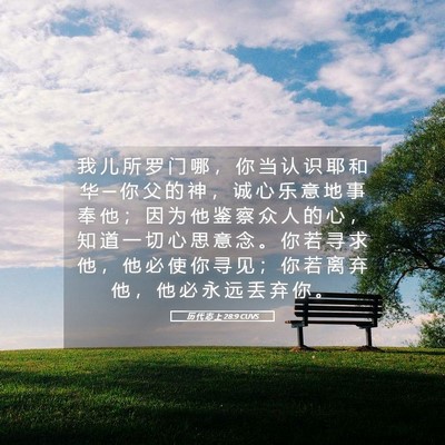 Picture 05 - 历 代 志 上 28:9 CUVS - 我 儿 所 罗 门 哪 ， 你 当 认 识 耶 - Bible Verse Picture