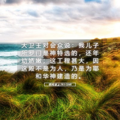 Picture 05 - 历 代 志 上 29:1 CUVS - 大 卫 王 对 会 众 说 ： 我 儿 子 所 - Bible Verse Picture