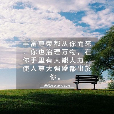 Picture 05 - 历 代 志 上 29:12 CUVS - 丰 富 尊 荣 都 从 你 而 来 ， 你 也 - Bible Verse Picture