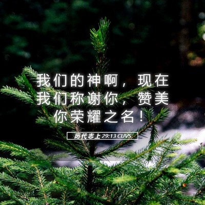 Picture 05 - 历 代 志 上 29:13 CUVS - 我 们 的 神 啊 ， 现 在 我 们 称 谢 - Bible Verse Picture