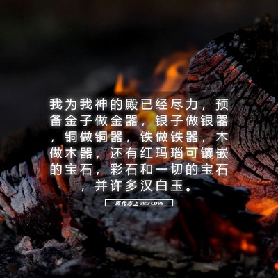 Picture 05 - 历 代 志 上 29:2 CUVS - 我 为 我 神 的 殿 已 经 尽 力 ， 预 - Bible Verse Picture