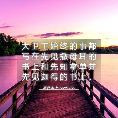 Picture 05 - 历 代 志 上 29:29 CUVS - 大 卫 王 始 终 的 事 都 写 在 先 见 - Bible Verse Picture
