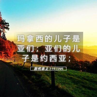 Picture 05 - 历 代 志 上 3:14 CUVS - 玛 拿 西 的 儿 子 是 亚 们 ； 亚 们 - Bible Verse Picture