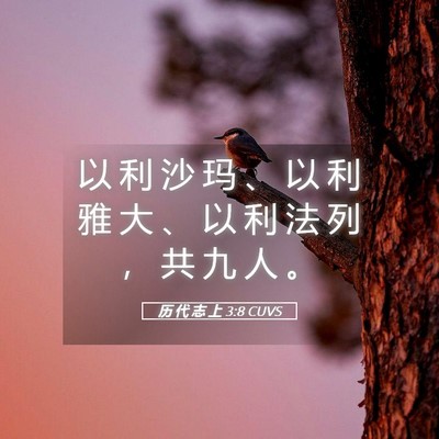 Picture 05 - 历 代 志 上 3:8 CUVS - 以 利 沙 玛 、 以 利 雅 大 、 以 利 - Bible Verse Picture