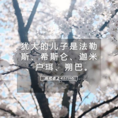 Picture 05 - 历 代 志 上 4:1 CUVS - 犹 大 的 儿 子 是 法 勒 斯 、 希 斯 - Bible Verse Picture