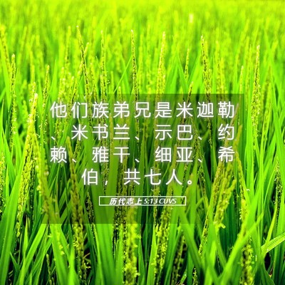 Picture 05 - 历 代 志 上 5:13 CUVS - 他 们 族 弟 兄 是 米 迦 勒 、 米 书 - Bible Verse Picture