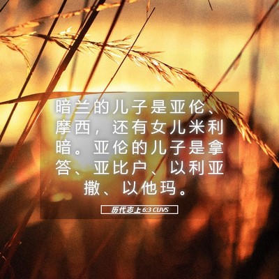 Picture 05 - 历 代 志 上 6:3 CUVS - 暗 兰 的 儿 子 是 亚 伦 、 摩 西 ， - Bible Verse Picture