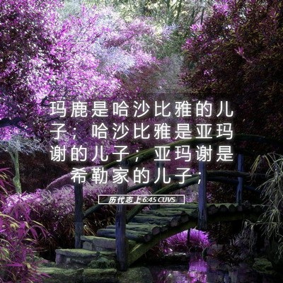 Picture 05 - 历 代 志 上 6:45 CUVS - 玛 鹿 是 哈 沙 比 雅 的 儿 子 ； 哈 - Bible Verse Picture