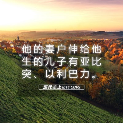 Picture 05 - 历 代 志 上 8:11 CUVS - 他 的 妻 户 伸 给 他 生 的 儿 子 有 - Bible Verse Picture