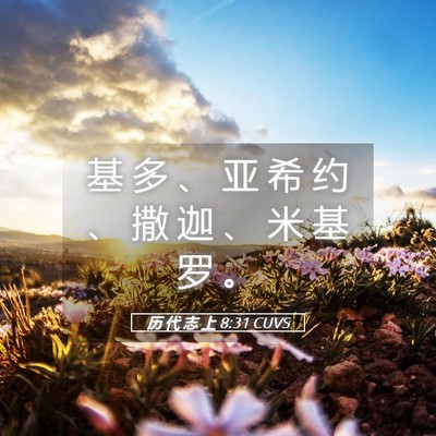 Picture 05 - 历 代 志 上 8:31 CUVS - 基 多 、 亚 希 约 、 撒 迦 、 米 基 - Bible Verse Picture
