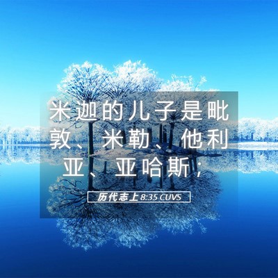 Picture 05 - 历 代 志 上 8:35 CUVS - 米 迦 的 儿 子 是 毗 敦 、 米 勒 、 - Bible Verse Picture