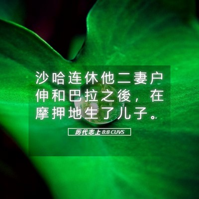 Picture 05 - 历 代 志 上 8:8 CUVS - 沙 哈 连 休 他 二 妻 户 伸 和 巴 拉 - Bible Verse Picture