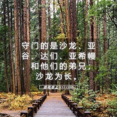 Picture 05 - 历 代 志 上 9:17 CUVS - 守 门 的 是 沙 龙 、 亚 谷 、 达 们 - Bible Verse Picture