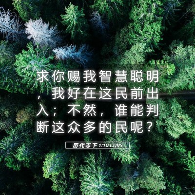 Picture 05 - 历 代 志 下 1:10 CUVS - 求 你 赐 我 智 慧 聪 明 ， 我 好 在 - Bible Verse Picture