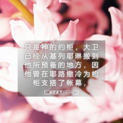 Picture 05 - 历 代 志 下 1:4 CUVS - 只 是 神 的 约 柜 ， 大 卫 已 经 从 - Bible Verse Picture