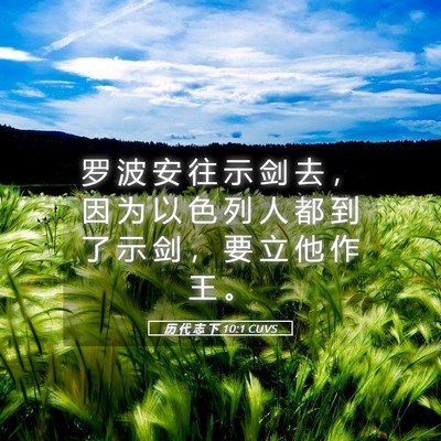 Picture 05 - 历 代 志 下 10:1 CUVS - 罗 波 安 往 示 剑 去 ， 因 为 以 色 - Bible Verse Picture