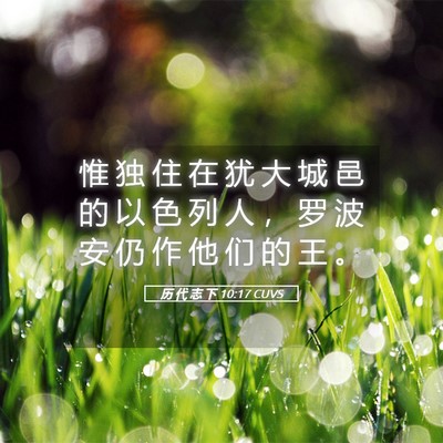 Picture 05 - 历 代 志 下 10:17 CUVS - 惟 独 住 在 犹 大 城 邑 的 以 色 列 - Bible Verse Picture