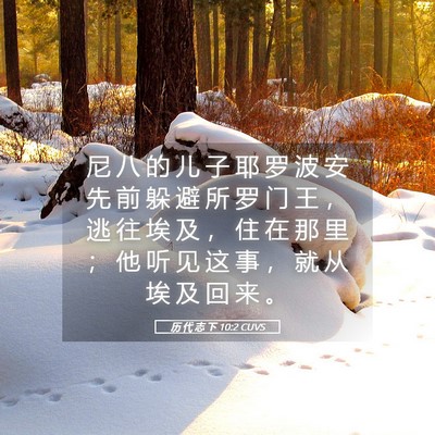 Picture 05 - 历 代 志 下 10:2 CUVS - 尼 八 的 儿 子 耶 罗 波 安 先 前 躲 - Bible Verse Picture