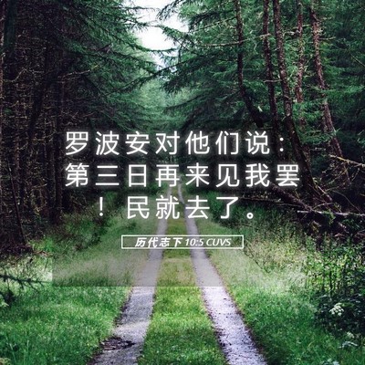 Picture 05 - 历 代 志 下 10:5 CUVS - 罗 波 安 对 他 们 说 ： 第 三 日 再 - Bible Verse Picture