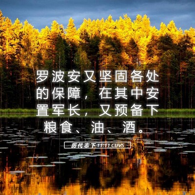 Picture 05 - 历 代 志 下 11:11 CUVS - 罗 波 安 又 坚 固 各 处 的 保 障 ， - Bible Verse Picture