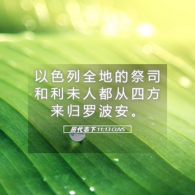 Picture 05 - 历 代 志 下 11:13 CUVS - 以 色 列 全 地 的 祭 司 和 利 未 人 - Bible Verse Picture