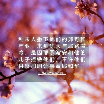Picture 05 - 历 代 志 下 11:14 CUVS - 利 未 人 撇 下 他 们 的 郊 野 和 产 - Bible Verse Picture