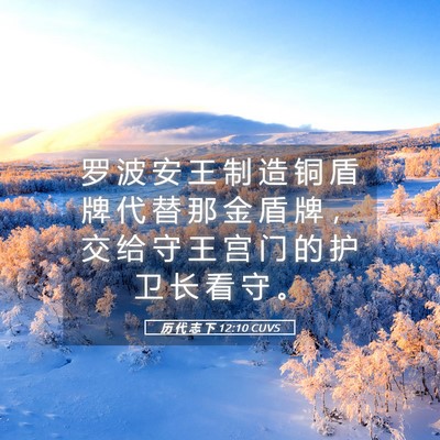 Picture 05 - 历 代 志 下 12:10 CUVS - 罗 波 安 王 制 造 铜 盾 牌 代 替 那 - Bible Verse Picture
