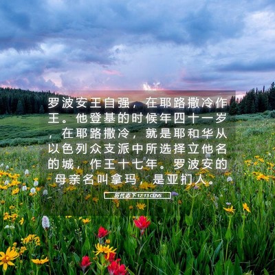 Picture 05 - 历 代 志 下 12:13 CUVS - 罗 波 安 王 自 强 ， 在 耶 路 撒 冷 - Bible Verse Picture